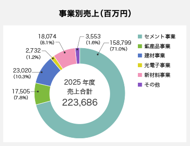 事業別売上高(百万円)