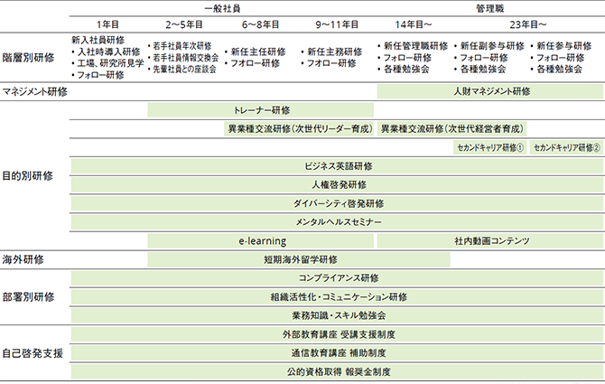 充実した若手育成プログラム